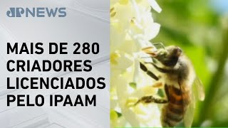 Miniatura do vídeo