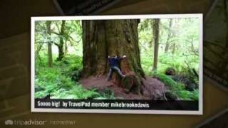preview picture of video 'Redwood Forest Mikebrookedavis's photos around Klamath, United States (redwood forest pictures)'
