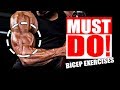 BIGGER BICEPS! Why Aren't You Doing These Exercises?