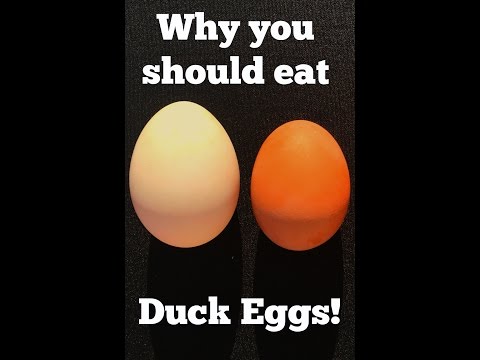 Why You Should Eat Duck Over Chicken Eggs