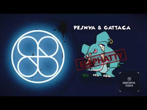 Konstantin Pesnya, GATTACA - ELEPHATTY