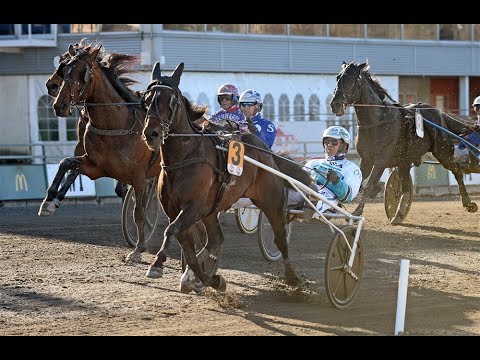 PREMIO CARL PHILIPS JUBILEUMSPOKAL: MISSLE HILL VINCE - SECONDO ZARENNE FAS - TERZO FORFANTONE AM