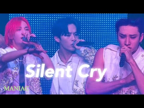 “Silent Cry” 사클🤍(Stray Kids 2nd World Tour ‘MANIAC’ in Seoul) 220429