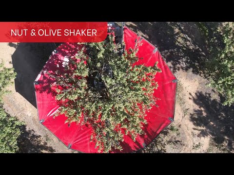 The Ultimate Tree Shaker for Almonds and Olives | AutoPick GTi