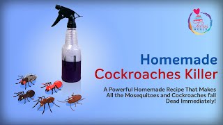 Homemade Cockroaches Killer | how to make homemade cockroach killer | Teensworld