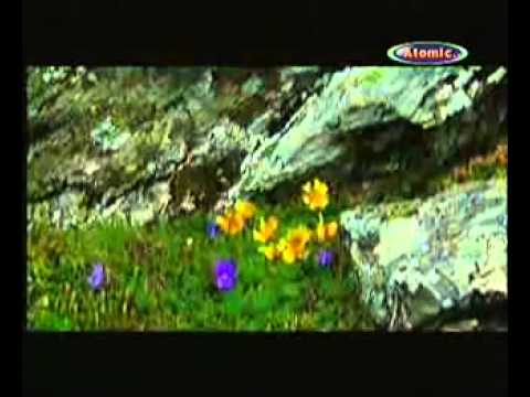 Mircea Rusu Band -  Iarba Verde de Acasa