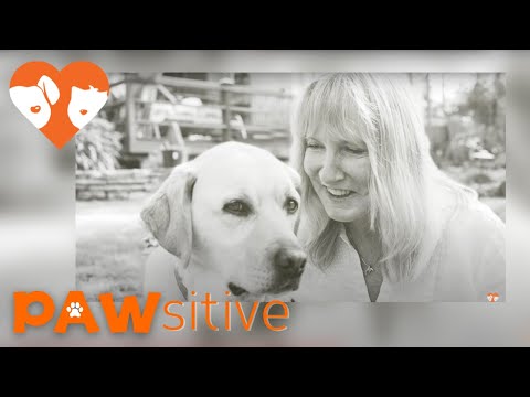A Wartime Hero Needs A Hero Of Her Own | PAWsitive 🧡
