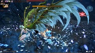 아인라허 레지나 노피격 솔플