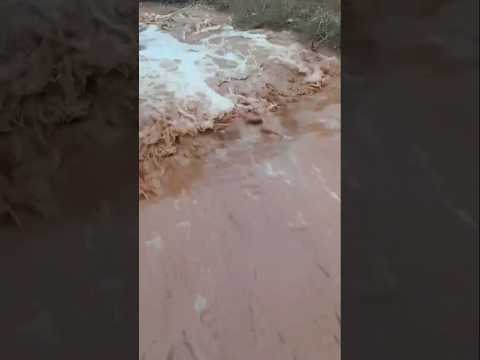 Santa Filomena sertão de Pernambuco