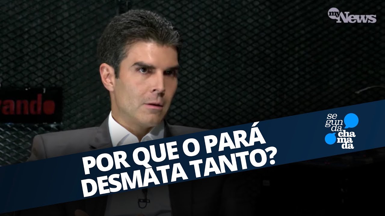 POR QUE O PARÁ DESMATA TANTO?