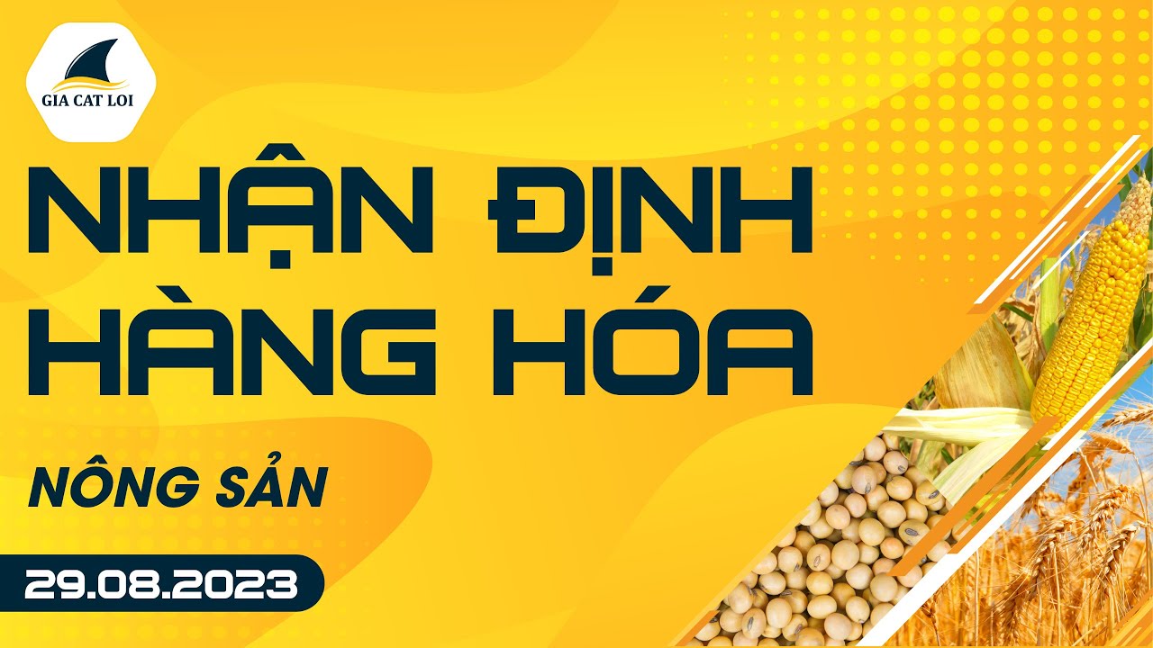 Nhận Định Hàng Hoá Nông Sản Ngày 29/08/2023