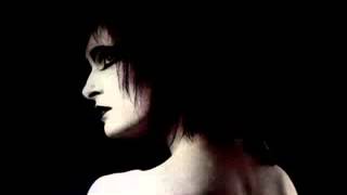 Siouxsie &amp; The Banshees Strange Fruit