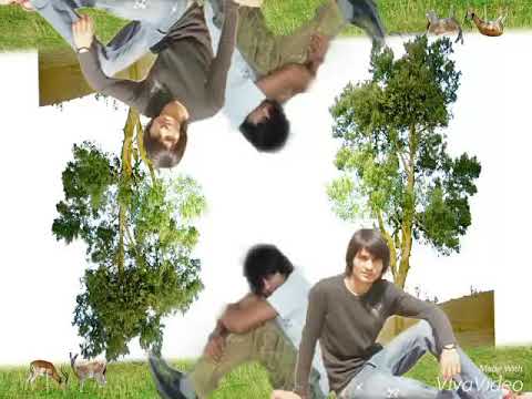 Dasve sajna dasve sajna