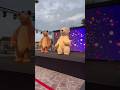 1 Million views giant bear #viralvideo #bears #amazingqatar #music #toys #mashaandthebear #katara