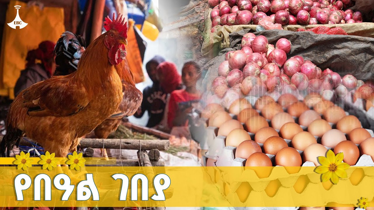 የበዓል ገበያ | ዳጉ ETV | EBC | EBCDOTSTREAM