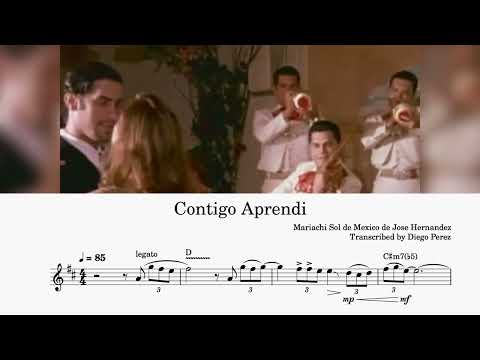 The Most Beautiful and Romantic Trumpet Solo