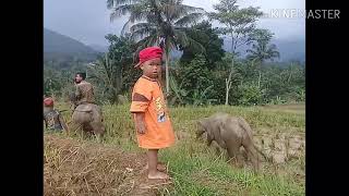 Download lagu Tembang kasmaran mp3 Download lagu Tembang kasmaran mp3