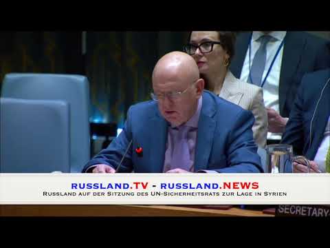 Russland auf der Sitzung des UN Sicherheitsrats zur Lage in Syrien