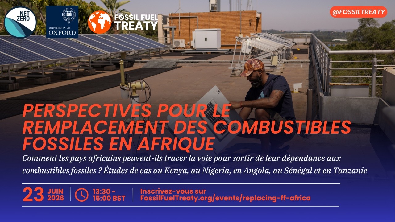Perspectives pour le remplacement des combustibles fossiles en Afrique