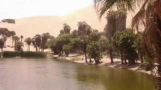 Si lo hubieras hecho antes  - bronco