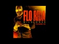 Flo Rida Wild Ones Feat Sia Audio