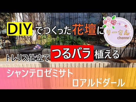 トレリスを修正する方法 どの家庭教師の添え木が杖を安定させるか 重要なことを知る方法