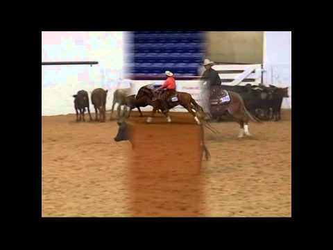 Shiners Mighty Mite- 2010 gelding FOR SALE