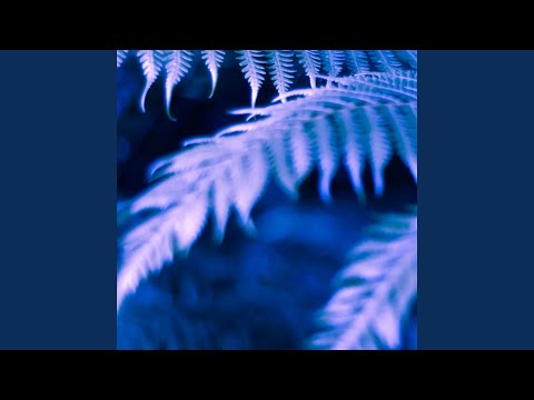 Laviyon (Danyèl Waro Remix)