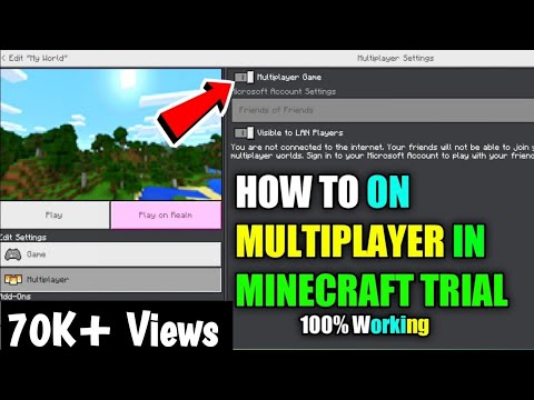 HOW TO PLAY MULTIPLAYER IN MINECRAFT TRIAL #17