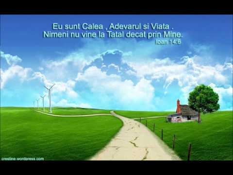 Ramona Condor-Vad ca timpul zboara