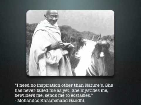 DoGreen Foundation General Presentation