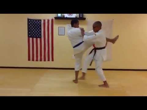 Front Kick Leg Sweep Takedown (Technique of the Week 39)