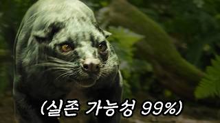 과학자들이 유일하게 진짜라 인정한 마다가스카르의 괴물