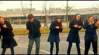 4- A BOMBEAR -(shushua) & (LA CHIVITA) RECUERDOS 2 PART