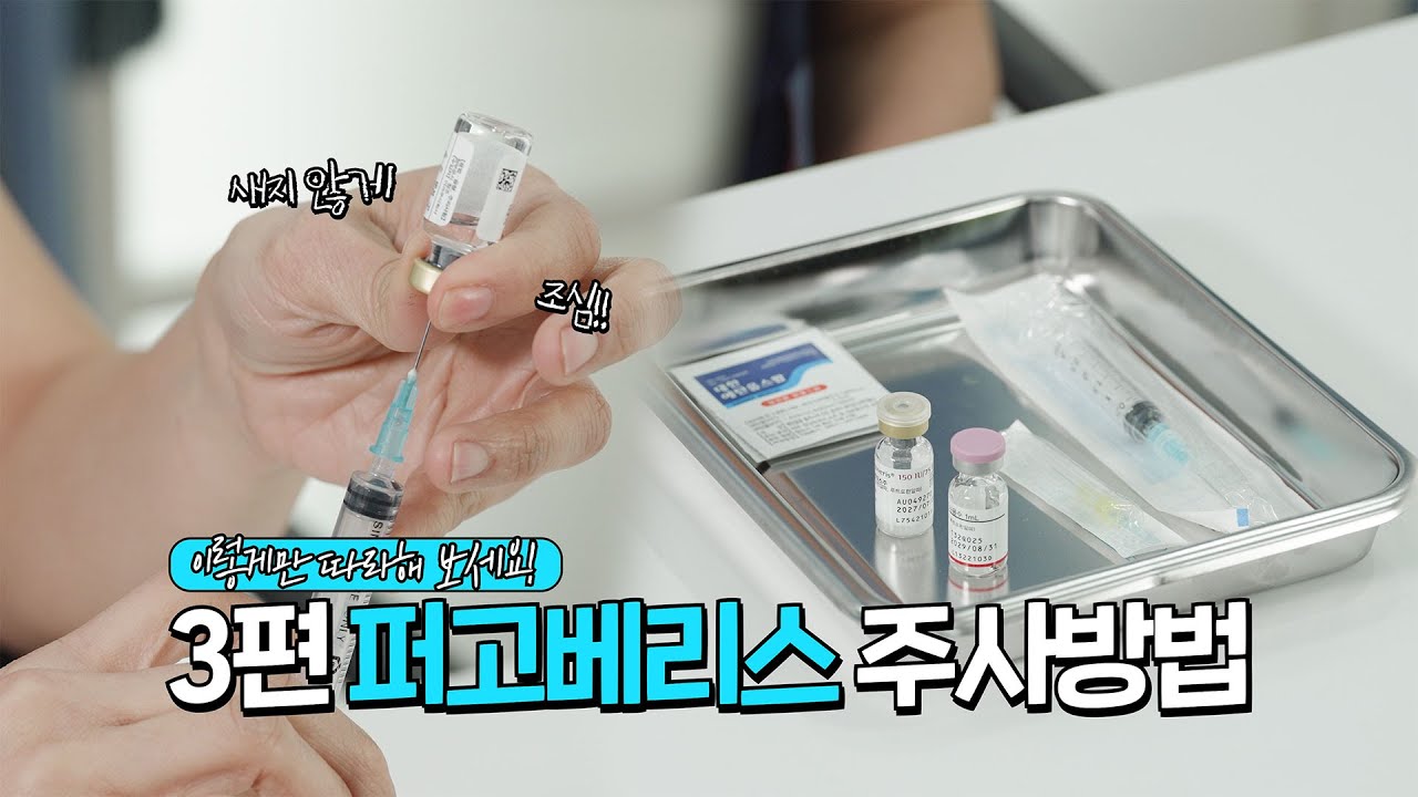 퍼고베리스 자가주사 방법