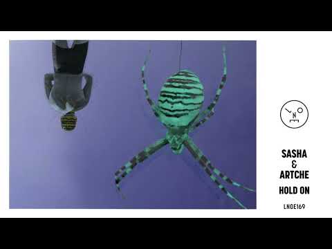 Sasha & Artche - Hold on [LNOE169]