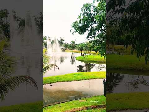 Parque refúgio dos pássaros / Araquari SC