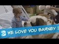BARNEY A Therapy Dog In A Children S Hospital
