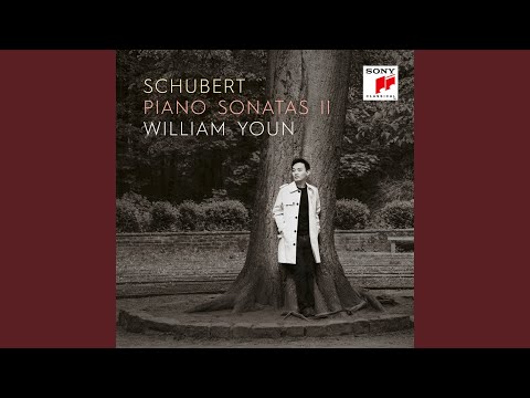 Piano Sonata No. 19 in C Minor, D. 958: I. Allegro