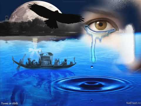 Beautiful Music   Cerul plange pentru tine tata