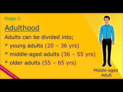 Human Life Cycle | Stages of Human Life Cycle