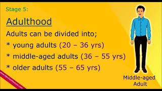 Human Life Cycle | Stages of Human Life Cycle