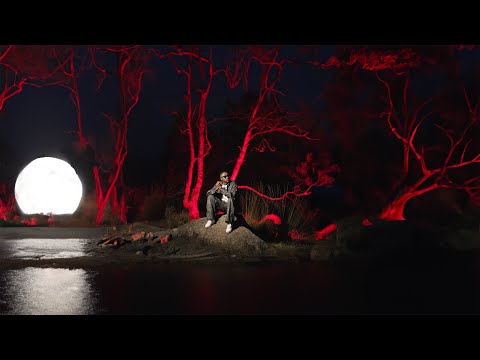 Ibou Black - Tsozÿ ( Visualizer )