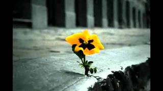 La Oreja de Van Gogh y El Canto del Loco - Puede Ser