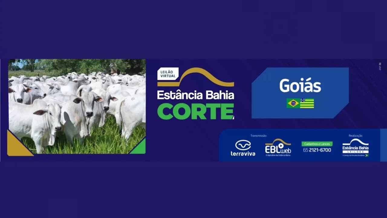 Leilão Estância Bahia de Corte - Goiás  - 24/11/2024 | 14H
