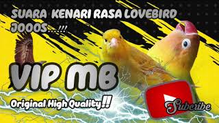 Download lagu Suara Kenari Isian Lovebird Cocok Buat Masteran!!! mp3
