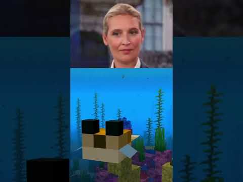 Alice orgnanisiert pro-immigration Demo, aber Olaf will nicht beihelfen#afd #spd