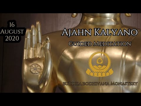 Upekkha (equanimity) - Guided meditation by Tan Ajahn Kalyano 16 August 2020