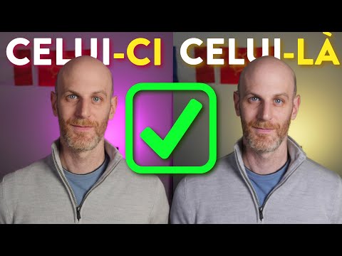 CELUI, CELLE, CEUX, and CELLES in French: Explained in English