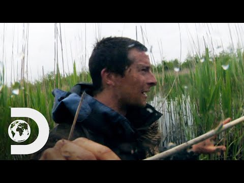 Bear Grylls mergulha em pântano para resgatar bota | À Prova de Tudo | Discovery Brasil